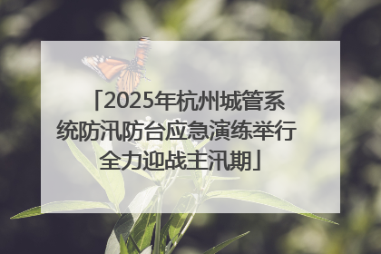 2025年杭州城管系统防汛防台应急演练举行 全力迎战主汛期