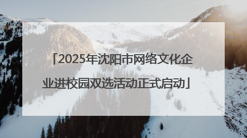 2025年沈阳市网络文化企业进校园双选活动正式启动