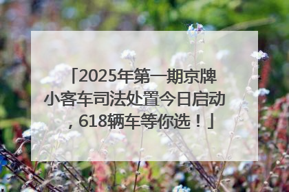 2025年第一期京牌小客车司法处置今日启动，618辆车等你选！