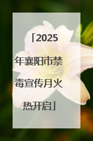 2025年襄阳市禁毒宣传月火热开启