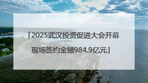 2025武汉投资促进大会开幕 现场签约金额984.9亿元