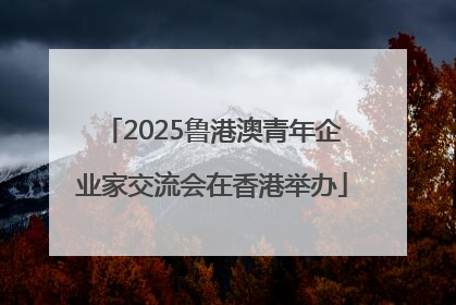 2025鲁港澳青年企业家交流会在香港举办