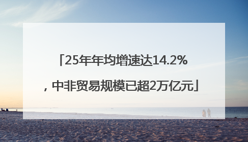 25年年均增速达14.2%，中非贸易规模已超2万亿元