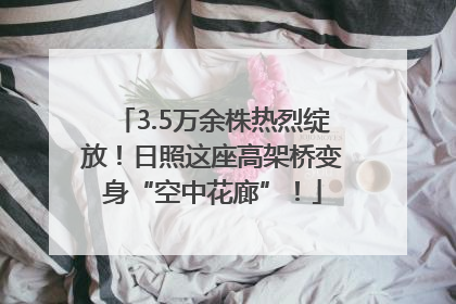 3.5万余株热烈绽放！日照这座高架桥变身“空中花廊”！