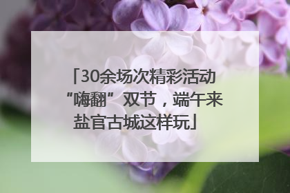 30余场次精彩活动“嗨翻”双节，端午来盐官古城这样玩