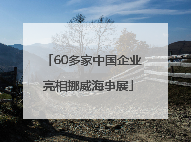 60多家中国企业亮相挪威海事展