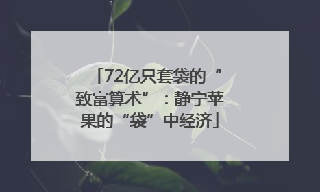 72亿只套袋的“致富算术”：静宁苹果的“袋”中经济