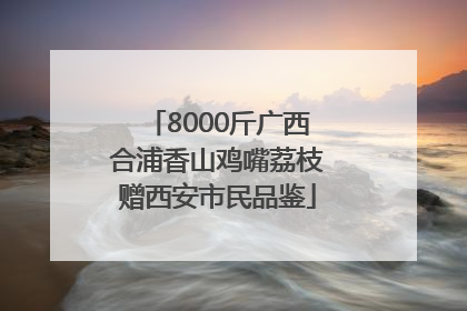 8000斤广西合浦香山鸡嘴荔枝赠西安市民品鉴